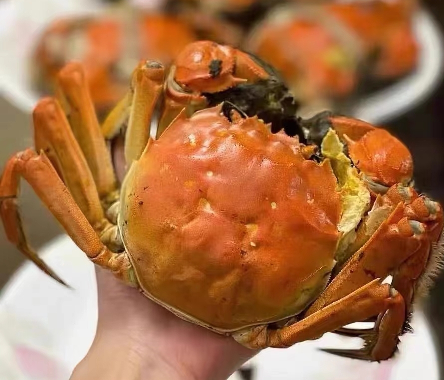 吃大闸蟹为什么会过敏 吃大闸蟹过敏怎么办